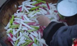 酸菜早期爆料视频播放,揭秘酸菜背后的故事与制作过程